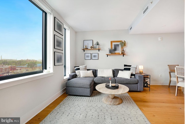 living room featuring hardwood / wood-style floors and a wealth of natural light