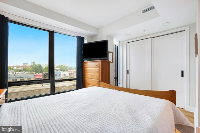 bedroom featuring multiple windows, wood-type flooring, and a closet