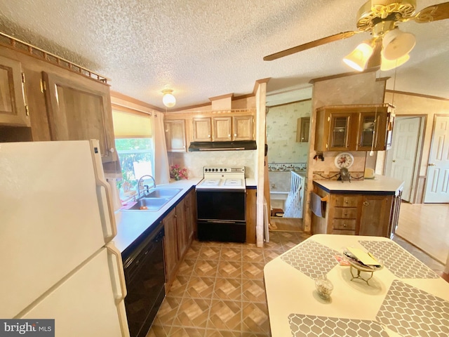 kitchen featuring sink, electric range oven, a textured ceiling, white refrigerator, and dishwasher