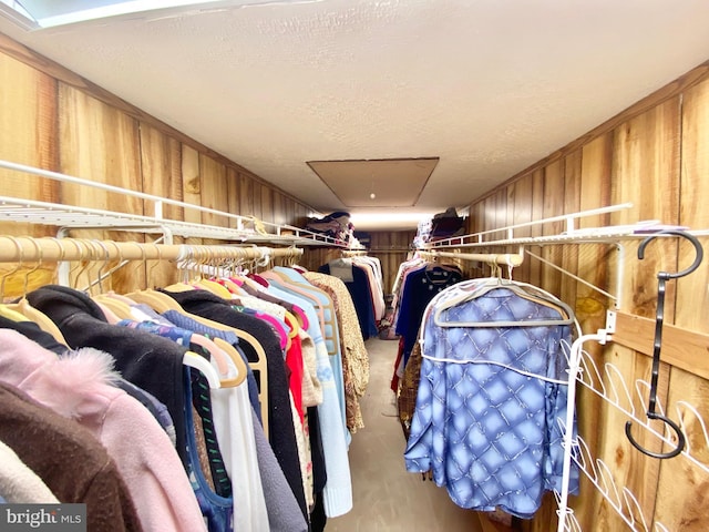 view of walk in closet