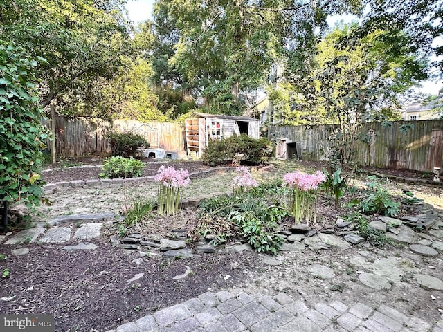 view of yard with a storage shed