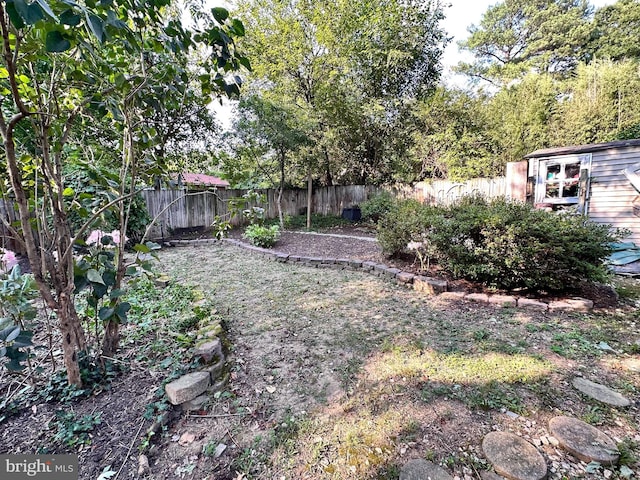 view of yard featuring a storage unit