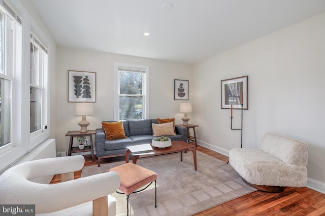 living room featuring hardwood / wood-style flooring