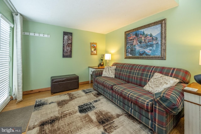 living room featuring light hardwood / wood-style flooring and a wealth of natural light