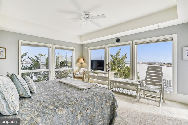 carpeted bedroom with multiple windows and ceiling fan