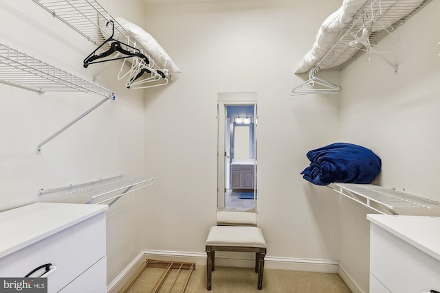 spacious closet featuring light colored carpet