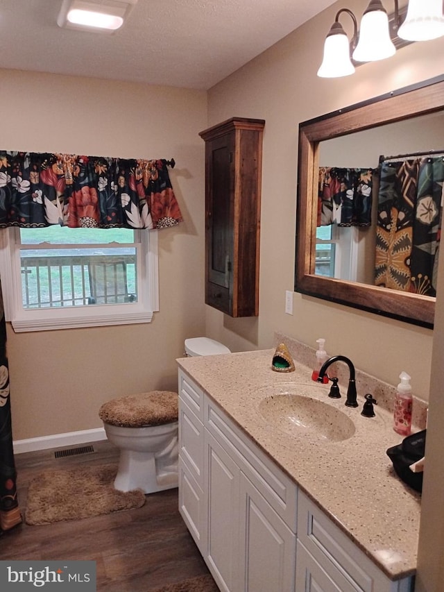 bathroom with vanity, toilet, and hardwood / wood-style flooring