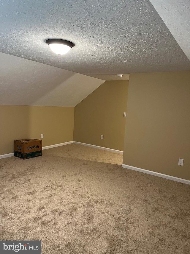 additional living space with a textured ceiling, carpet, and lofted ceiling