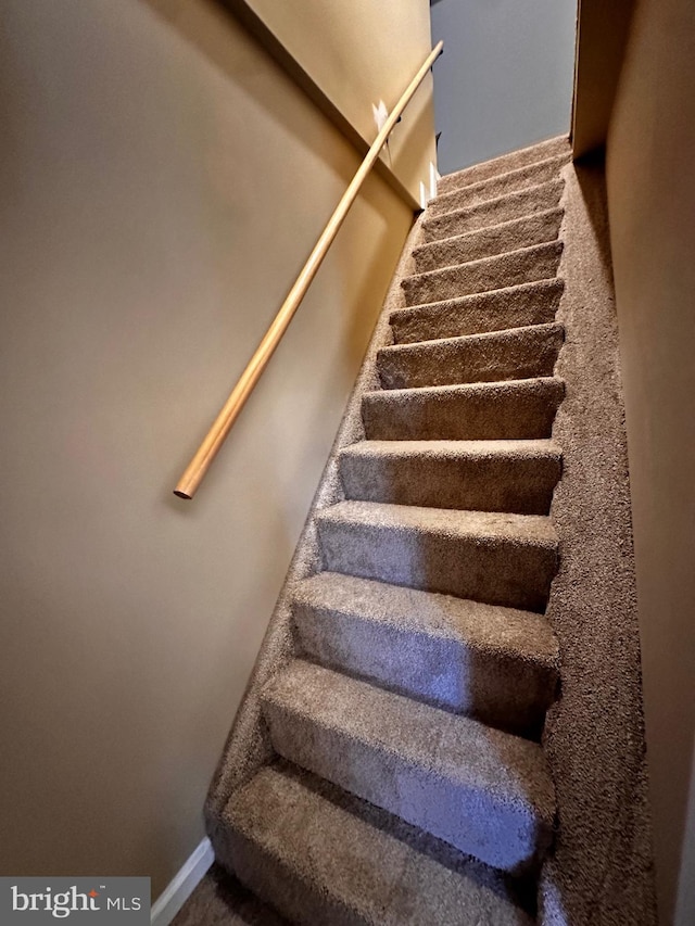 stairs with carpet floors