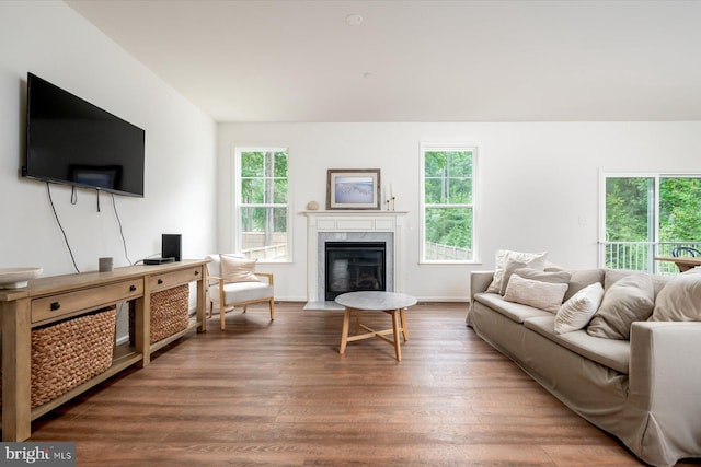 living room featuring hardwood / wood-style flooring, plenty of natural light, and a premium fireplace