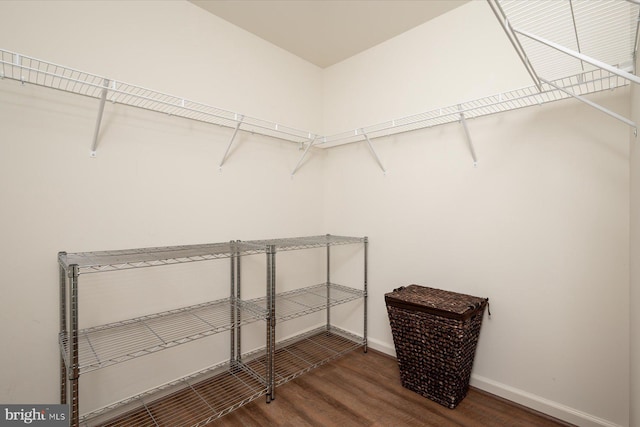 walk in closet featuring dark hardwood / wood-style flooring