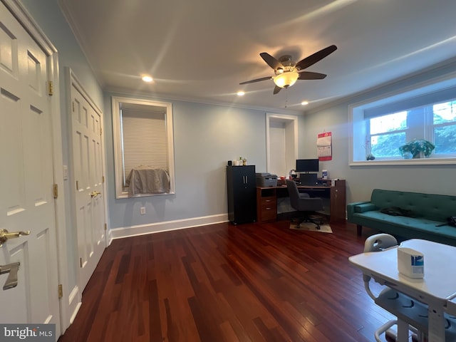 office space with ceiling fan, dark wood-type flooring, and ornamental molding