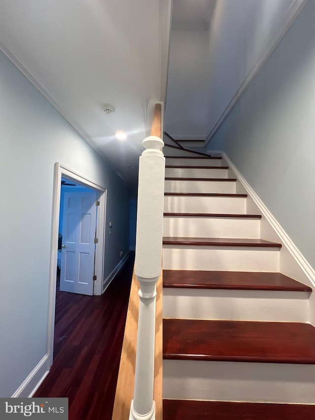 staircase with wood-type flooring