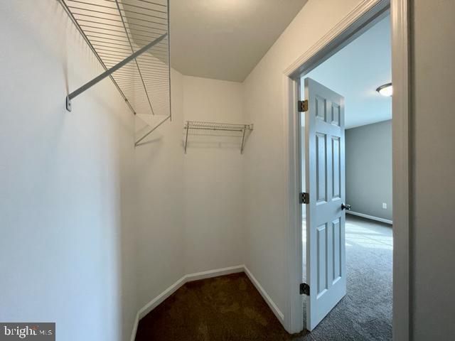 spacious closet with carpet floors