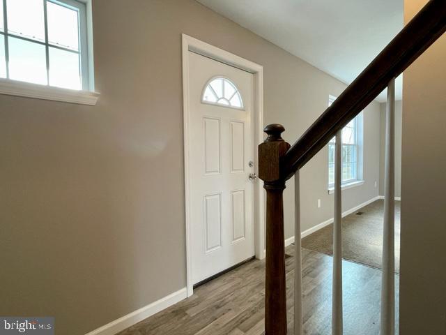 foyer entrance featuring light hardwood / wood-style flooring