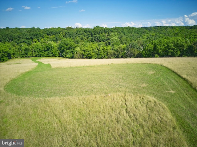 118 Hollow Horn Rd S Parcel, Unit South Parcel, Ottsville, PA 18942 - exterior space