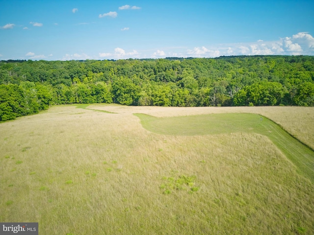 118 Hollow Horn Rd S Parcel, Unit South Parcel, Ottsville, PA 18942 - birds eye view of property