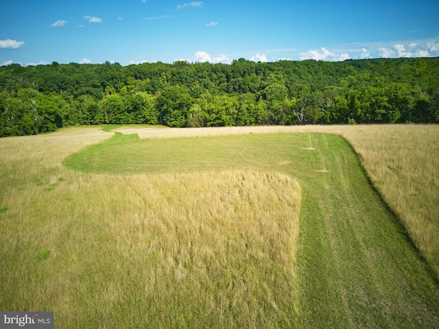 view of nature