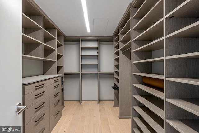 walk in closet with light hardwood / wood-style flooring