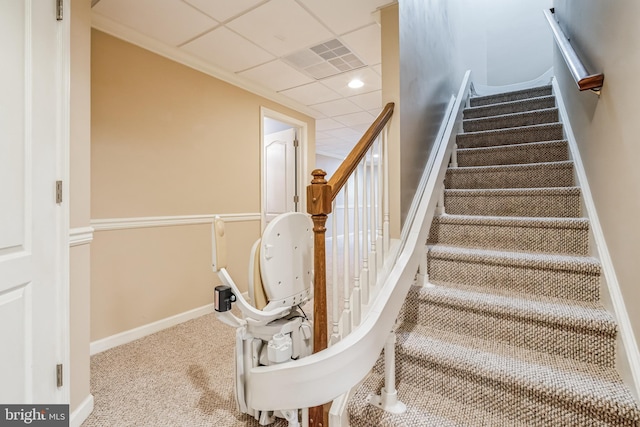 stairs featuring carpet floors and a paneled ceiling