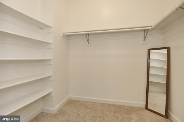 spacious closet with light colored carpet