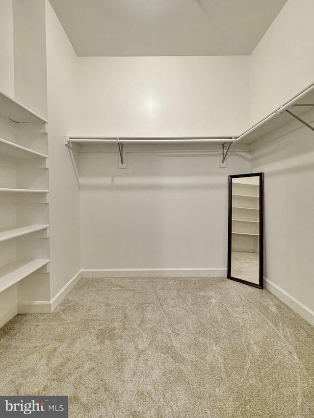 spacious closet with carpet floors