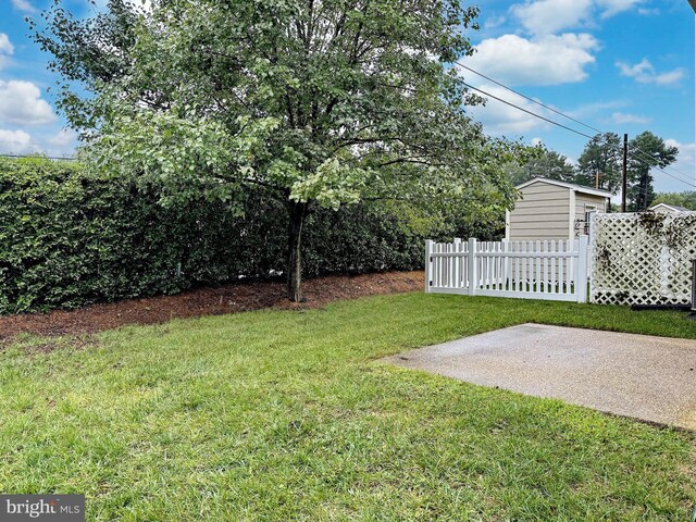 view of yard featuring a patio