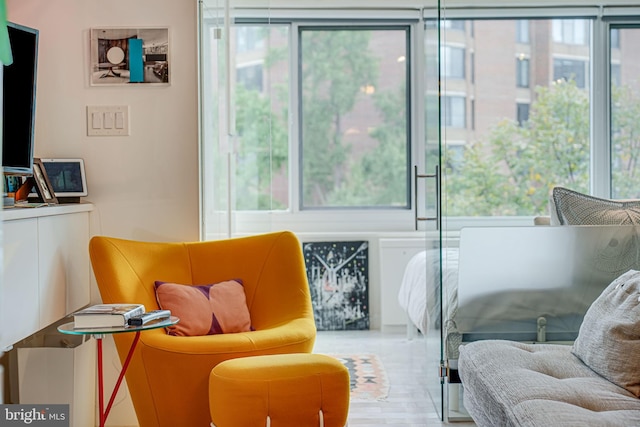 living area featuring a wealth of natural light