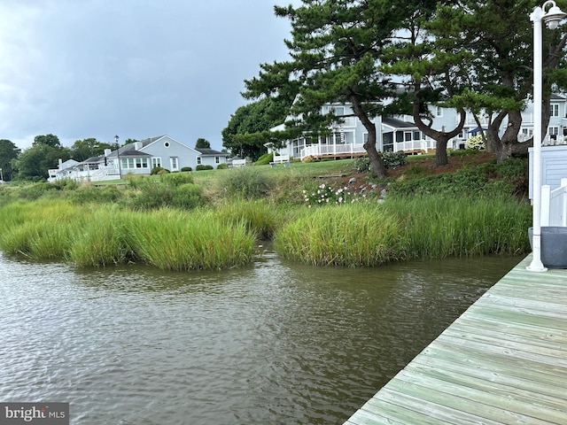 dock area with a water view