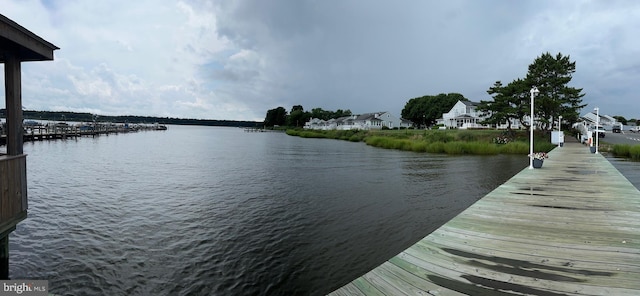 dock area with a water view