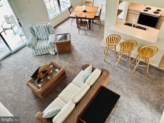 carpeted living room with sink