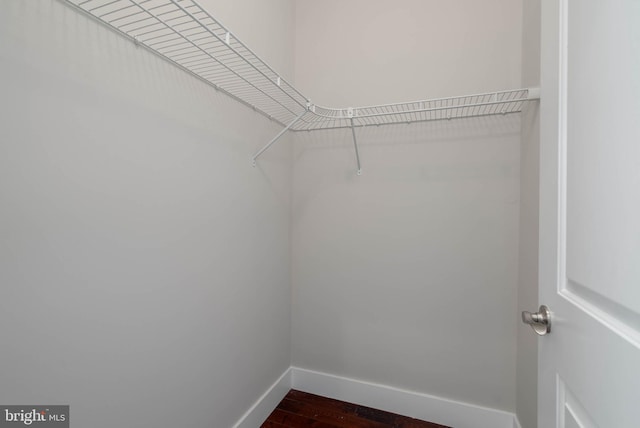 spacious closet with dark wood-type flooring