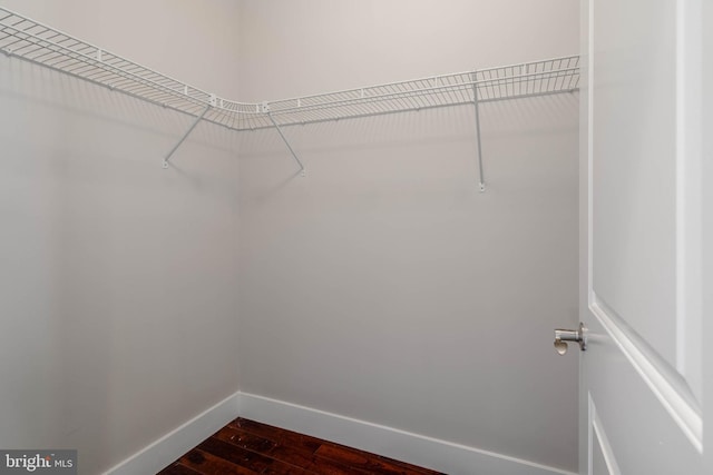 walk in closet featuring hardwood / wood-style floors