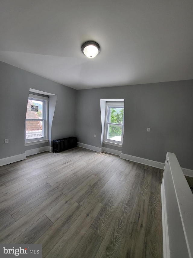 additional living space featuring wood-type flooring and radiator