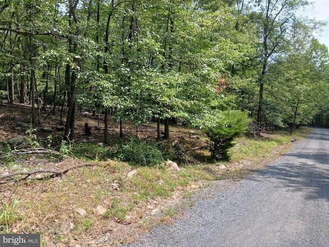 LOT11 Pendragon Ct, Paw Paw WV, 25434 land for sale