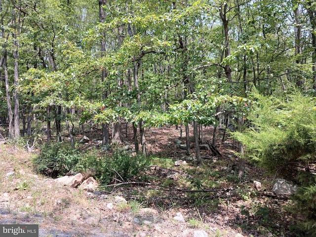 Listing photo 2 for LOT11 Pendragon Ct, Paw Paw WV 25434