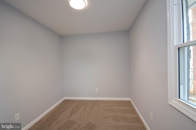 empty room featuring carpet and a wealth of natural light