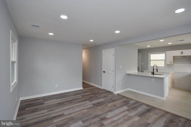 unfurnished living room featuring sink and wood-type flooring