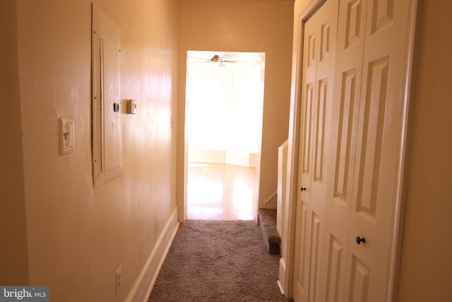 hallway featuring electric panel and carpet