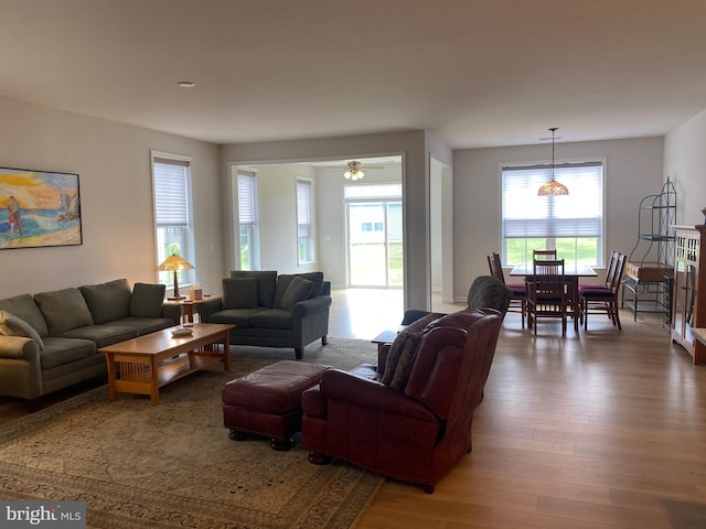 living room featuring a wealth of natural light, hardwood / wood-style flooring, and ceiling fan