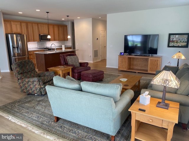 living room with sink and wood-type flooring