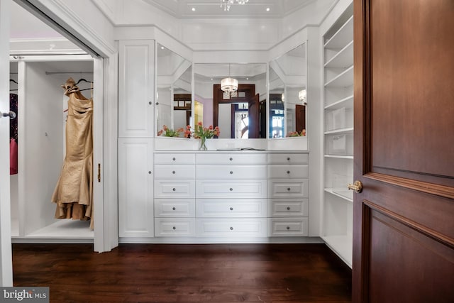 spacious closet with dark hardwood / wood-style floors