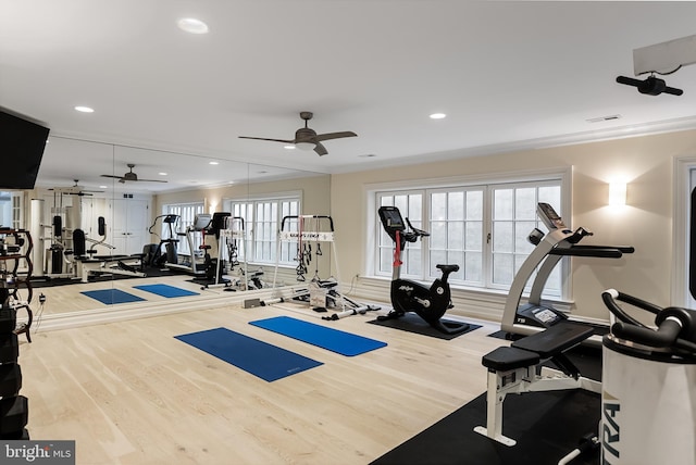 workout area with crown molding, ceiling fan, and hardwood / wood-style floors