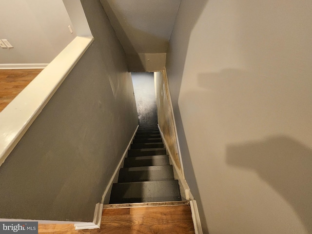 stairs with hardwood / wood-style flooring