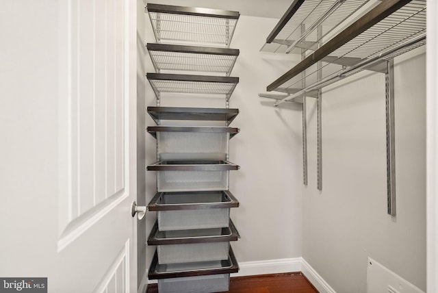 spacious closet featuring dark hardwood / wood-style flooring