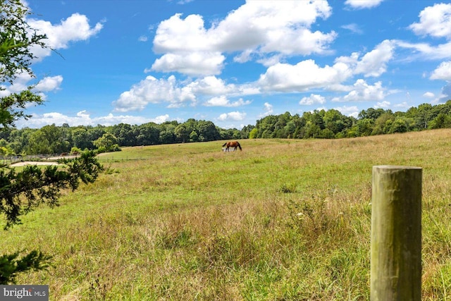 view of local wilderness with a rural view