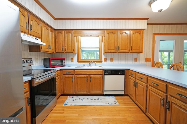 kitchen with light wood-type flooring, stainless steel appliances, and plenty of natural light