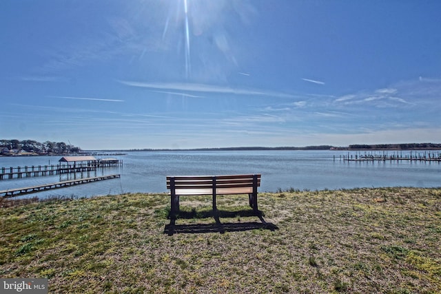 dock area with a water view