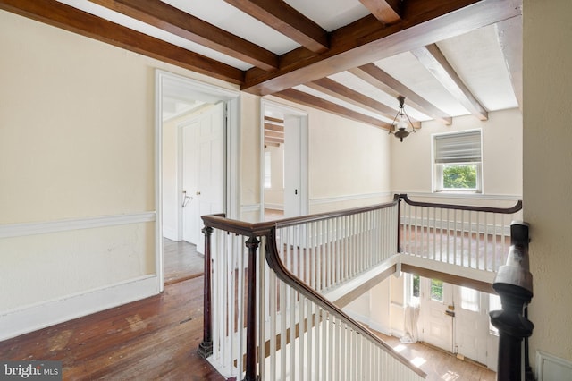 hallway with beam ceiling, a chandelier, and hardwood / wood-style floors