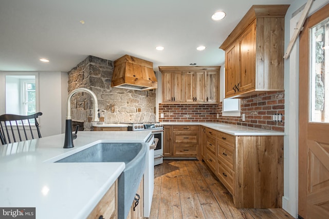 kitchen with sink, custom exhaust hood, tasteful backsplash, light hardwood / wood-style flooring, and high end white range